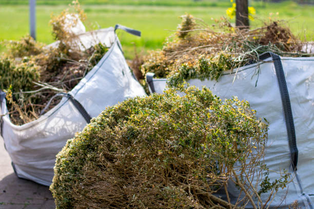 Best Yard Waste Removal  in Atwater, MN